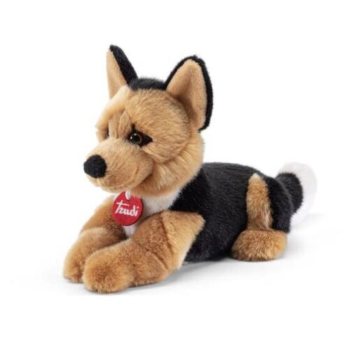 Trudi - Berger Allemand Rusty