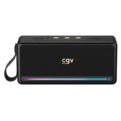 CGV Enceinte bluetooth SolidVibe Max