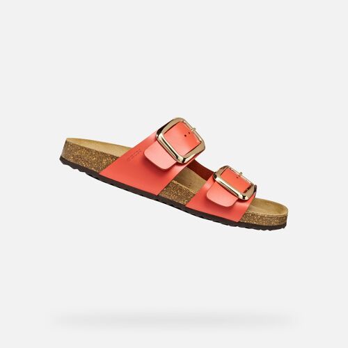 Chaussures Brionia R Woman