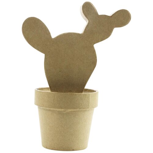 Clairefontaine Cactus western