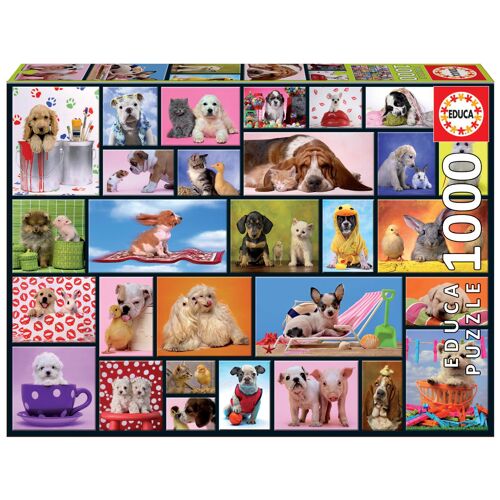 Educa Moments Partagés Puzzle 1000 pièces