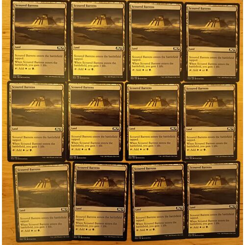 Scoured Barrens // Landes Érodées (Magic 2020)