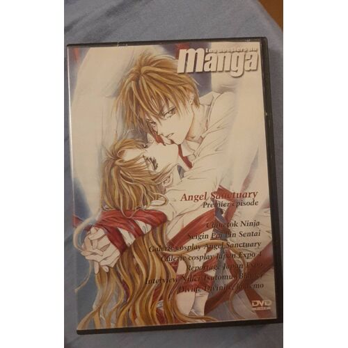 Les Dossiers Du Manga Angel Sanctuary