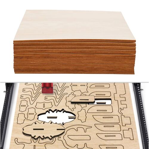 Lot de 30 Feuilles de Tilleul 30x30 cm – Épaisseur 3 mm
