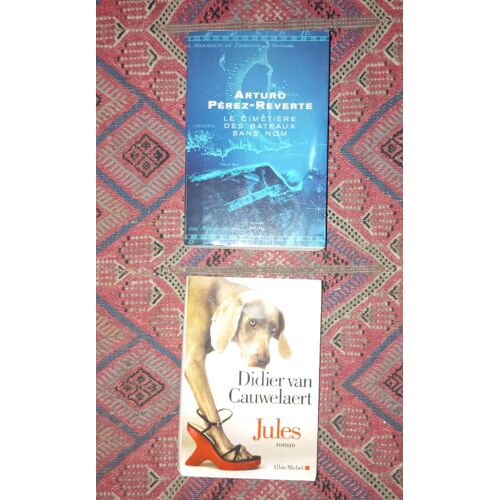 Lot Deux Romans : Le Cimetière Des Bateaux Sans Nom De Arturo Perez-Reverte (Seuil) + Jules De Didier Van Cauwelaert (Albin Michel)