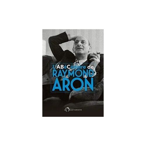 Abécédaire De Raymond Aron De Dominique Schnapper