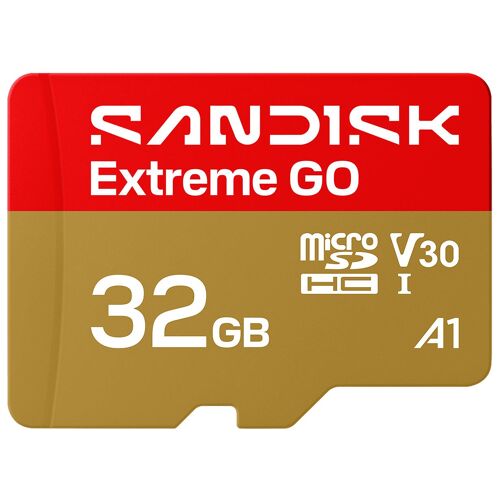 SanDisk Extreme GO 32 Go MicroSDHC UHS-I
