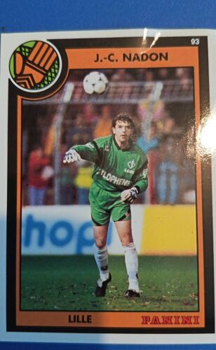 Image Panini