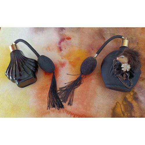 2 Flacons Parfum Vaporisateur Vides 