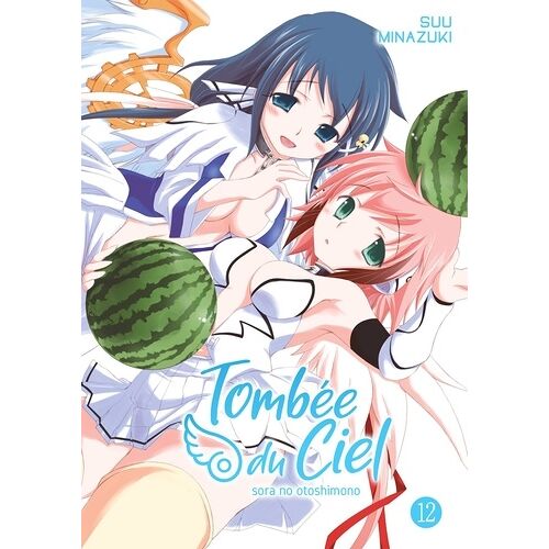 Tombée Du Ciel - Tome 12