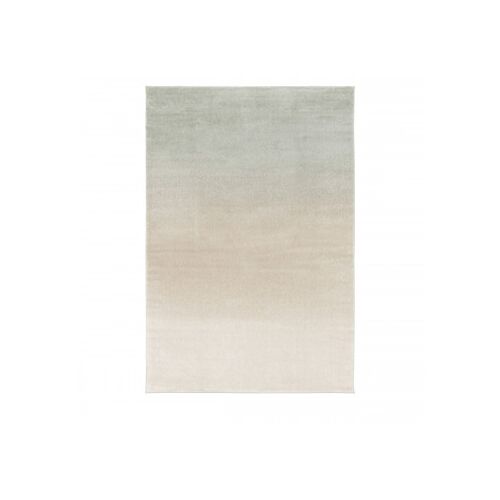 Drawer Dye Intérieure Tapis Rectangle Polypropylène (Pp) Vert