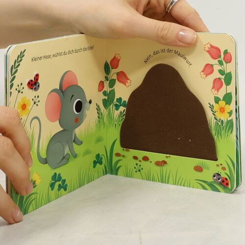 Wo Bist Du ...? - Wo Bist Du, Kleiner Hase?