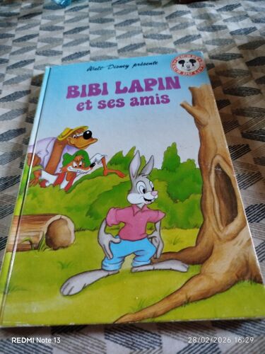 Livre Pour Enfants. Bibi Lapin Et Ses Amis. Collection Mickey Club Du Livre