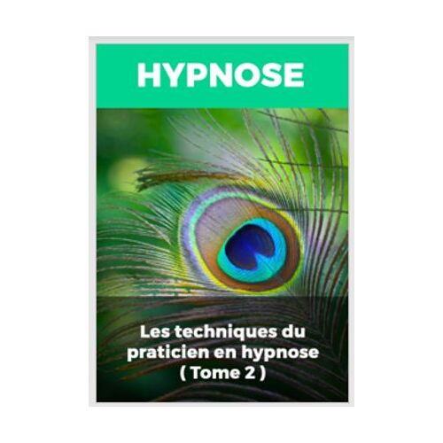Les Techniques Du Praticien En Hypnose (Tome 2)