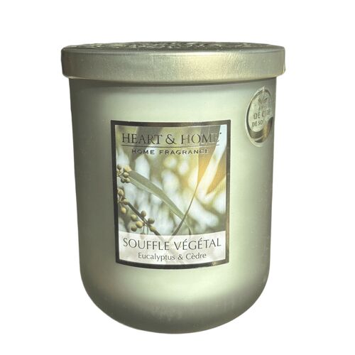 Grande bougie parfumée souffle végétal 320 g