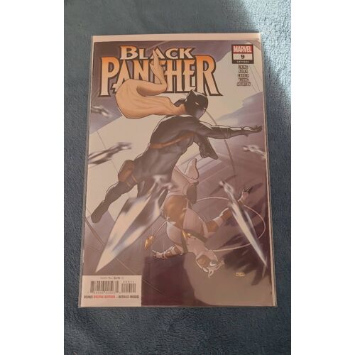 Black Panther 2023 9