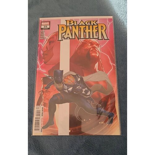 Black Panther 2023 10