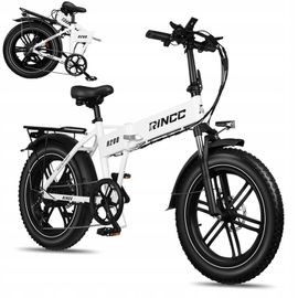 Vélo Électrique Rincc R200 Pour Adulte, Moteur 750 W, Batterie 48 V 15 Ah, Pneus Larges 20 Pouces, Tout-Terrain.