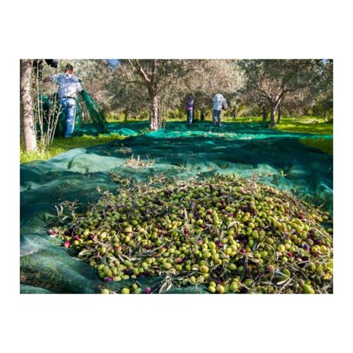Maillestore - Filet De Récolte Pantalon 95g/m² Vert 6m X 6m