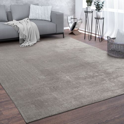 Paco Home - Tapis, Tapis à Poils Ras Doux Pour sélon, Très Moelleux, Lavable, Gris 200x280 Cm