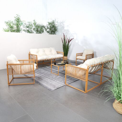 Salon Jardin Rotin 1900.1930 6 Pieces