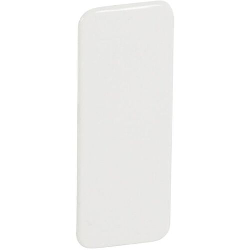 Plaque Obturation Pour Jupiter Encastré Droit 2 Postes Blanc Legrand 081074