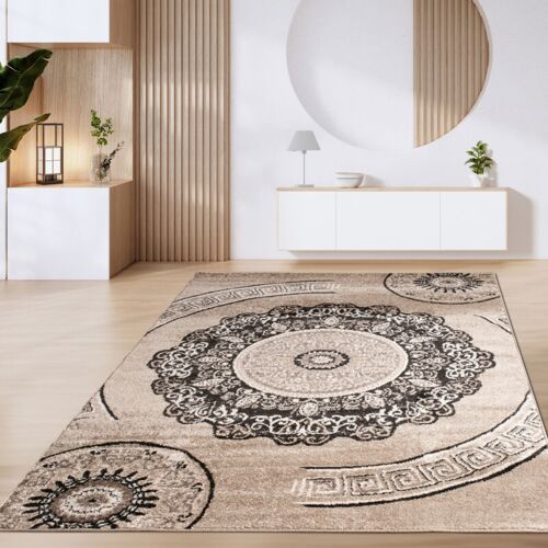 Paco Home Tapis De Salon Poils Ras Tapis Vintage Motifs Modernes Géométriques Marron Beige 160x220 Cm, Marron 8