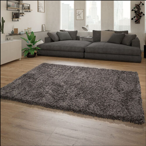 Paco Home - Tapis Shaggy Tapis De Salon Shaggy Poil Long Motif Monochrome Moderne 60x90 Cm, Anthracite