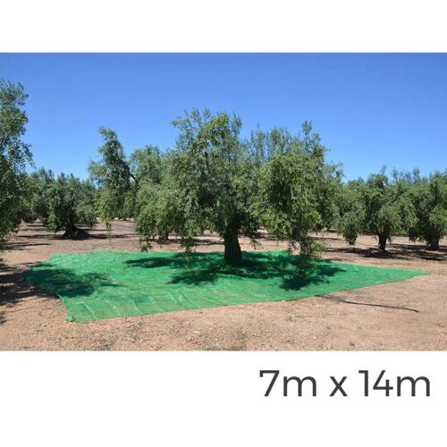 Edm - Couverture Pour La Récolte Des Fruits Verts 7x14m