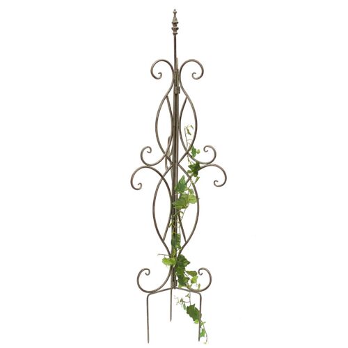 Dandibo Treillis En Métal 125 Cm 93998 Support Pour Plantes Grimpantes Support Pour Fleurs Colonne Pour Plantes Grimpantes