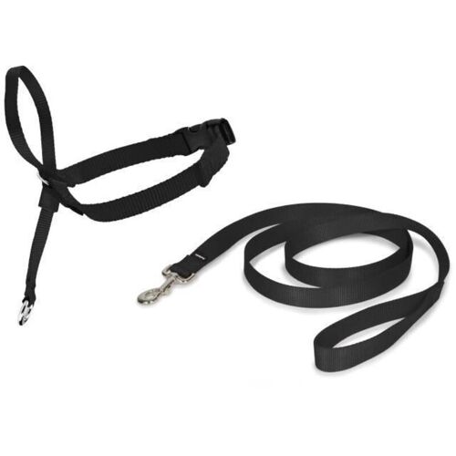 Licol Easywalk Chien S Noir Cynnotek Cy3597
