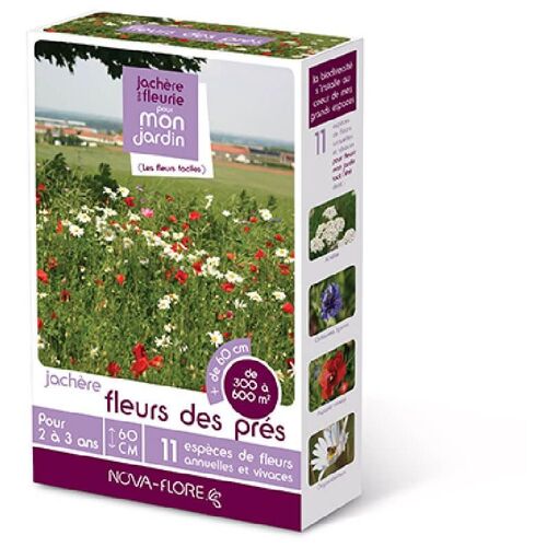 Prairies Fleuries : Jachères Fleurs Des Prés 300 À 600 M2