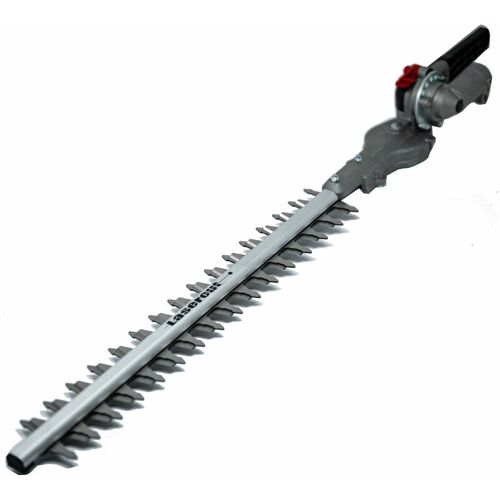Parkside - Réducteur Avec Couteau Manche Long Taille-haie Phsl 900 A3 Lidl Ian 335384