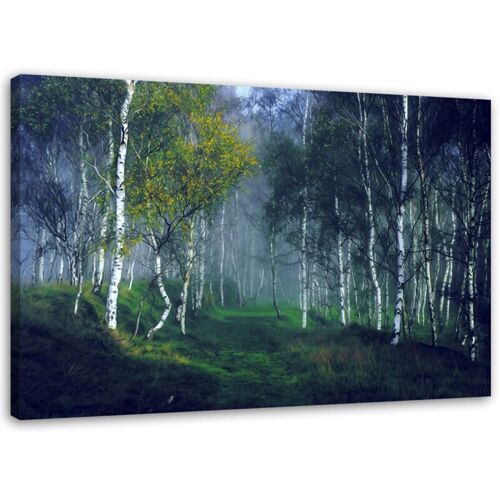 Tableau Sur Toile Forêt De Bouleaux Dans Le Brouillard Paysage 60x40