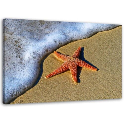 Tableau Déco étoile De Mer Plage Sable 60x40