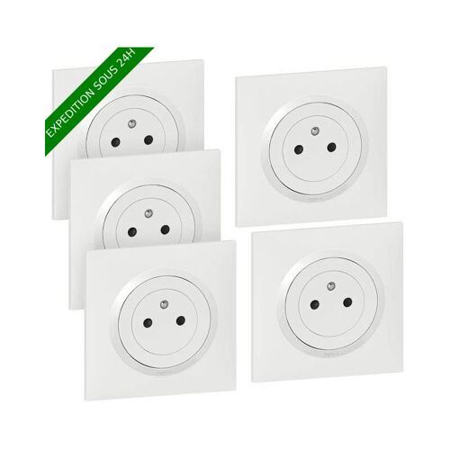 Lot De 5 Prises Avec Terre Complet Dooxie Legrand Blanc ( Vendu séns Griffes )