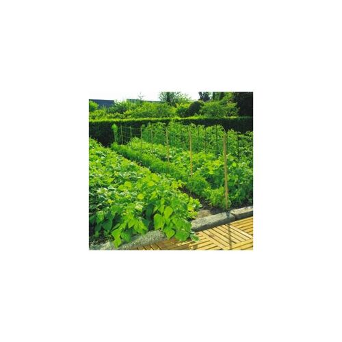 Filet à ramer 1x5m TRELLINET - Nortene - Support de plantes grimpantes