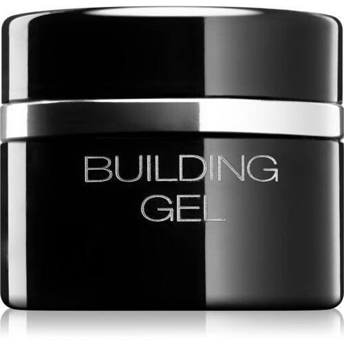 Pierre René Nails Hybrid Gel Stylisant Ongles 10 Ml 