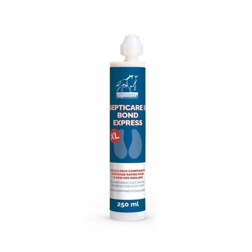 Cartouche De Colle Ukal Septicare Ii Bond Express 250 Ml Mixte Bleu