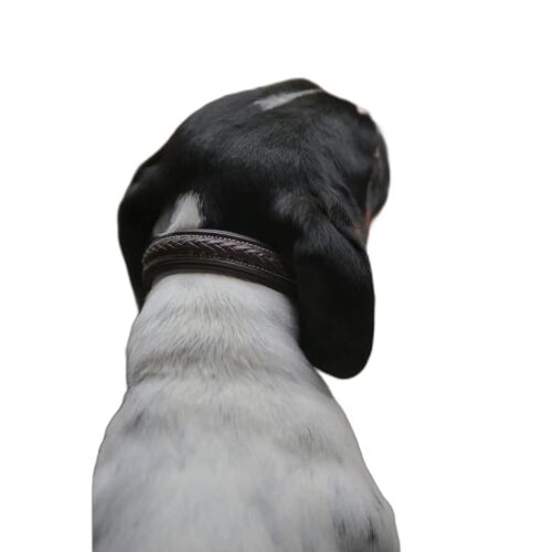 Collier Pour Chien Tressé Dy'on M Mixte Marron