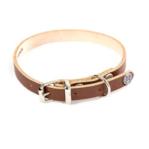Collier Pour Chien En Cuir Martin Sellier 31/62 Cm Mixte Marron