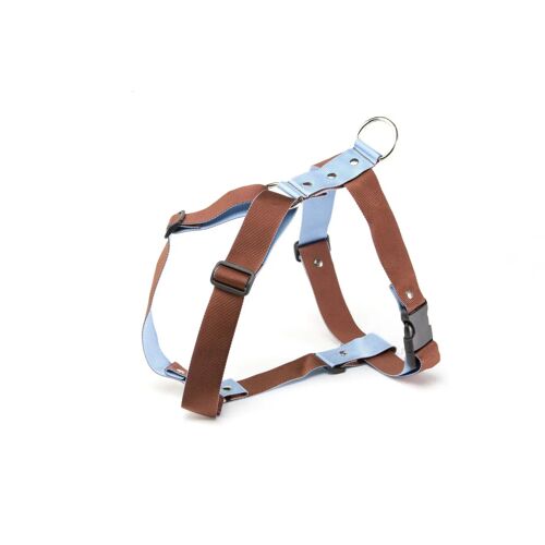 Harnais Pour Chien Martin Sellier L 40 Mm Mixte Bleu