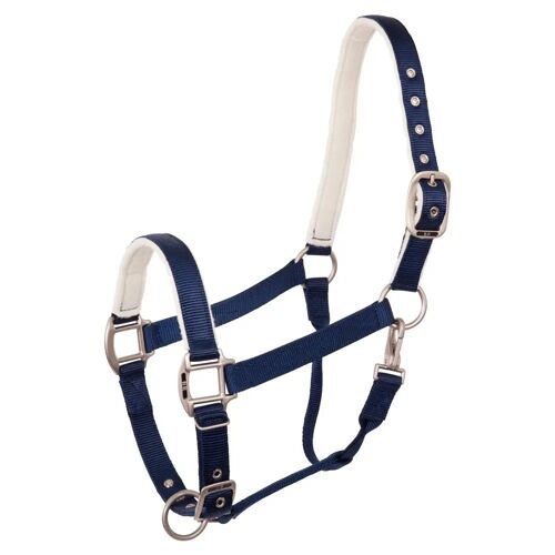Licol Pour Cheval Br Equitation Event Cob Mixte Bleu