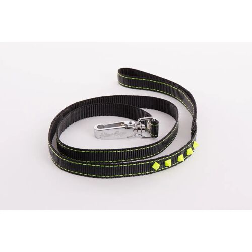 Laisse Pour Chien Fluo Martin Sellier 10/100 Cm Mixte Noir
