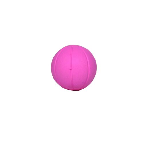 Balle Pour Chien Martin Sellier Rubb'n Puppies S Mixte Violet