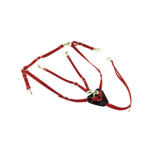 Collier De Chasse Pour Cheval En Biothane Avec Martingale Lakota Tu Mixte Rouge
