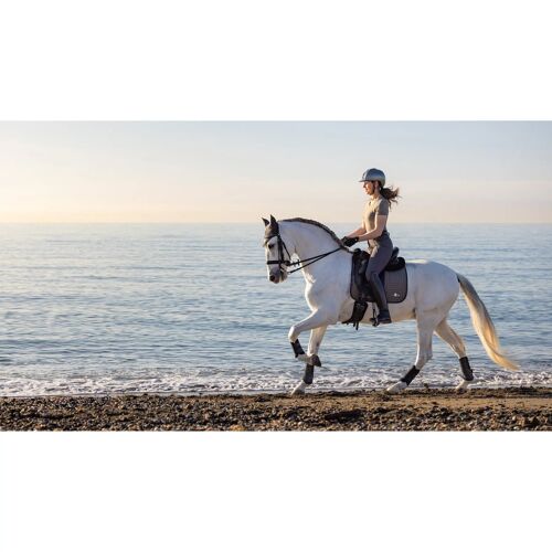 Tapis De Dressage Pour Cheval Lemieux Earth L Mixte Noir