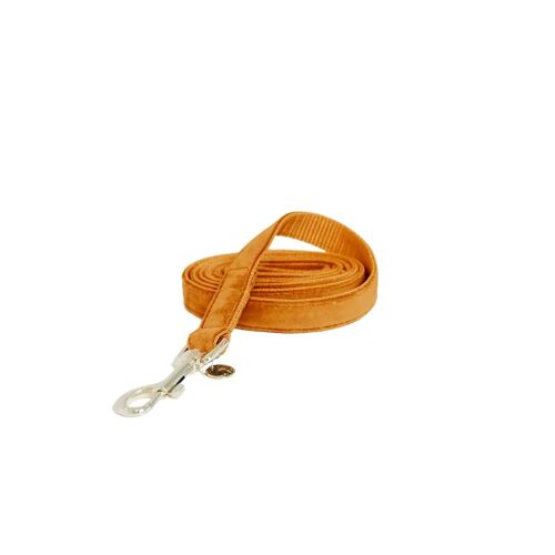 Laisse Pour Chien Kentucky Velvet S Mixte Orange