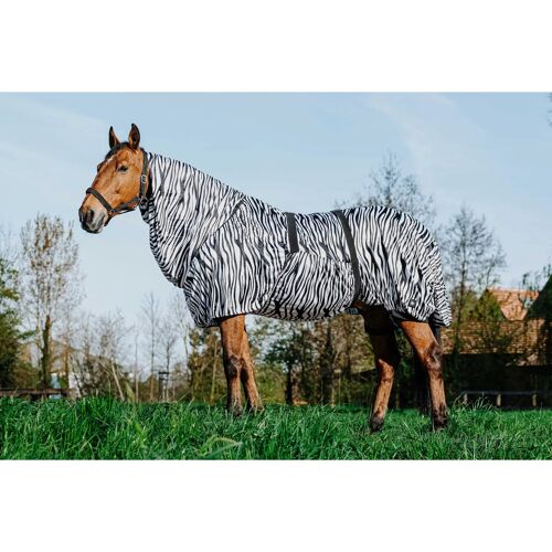 Chemise Anti-Eczéma Zèbre Pour Cheval Riding World 105 Cm Mixte Noir