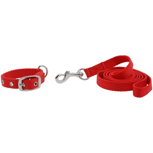 Collier Et Laisse Pour Chien Riding World Oscar 30 Cm Mixte Rouge